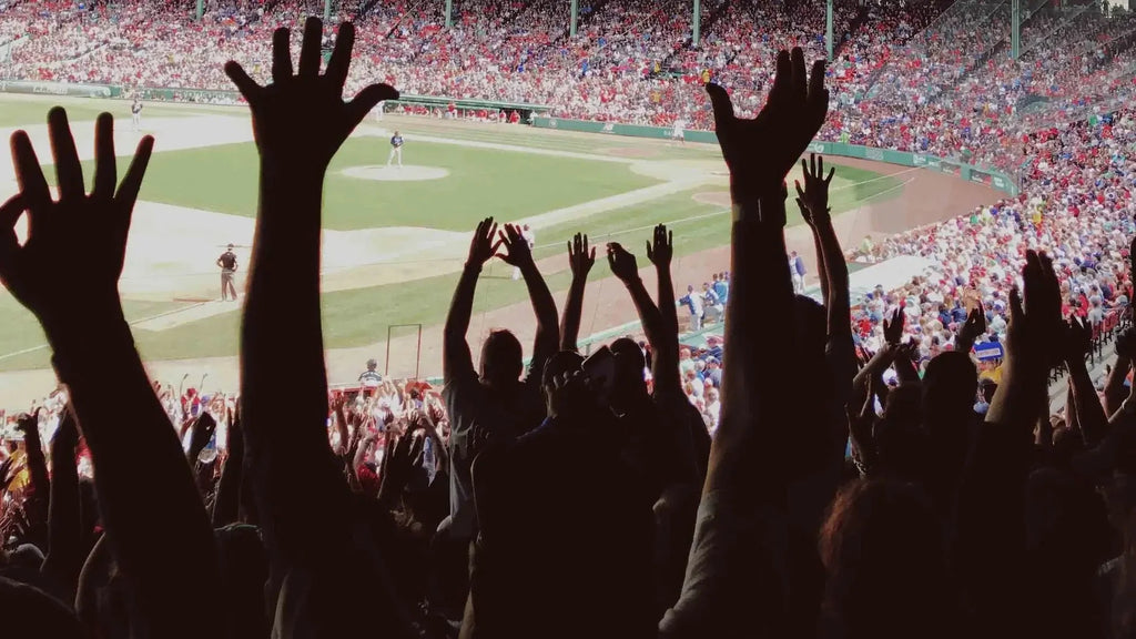 Bear On the Road: World Baseball Classic (Part One)