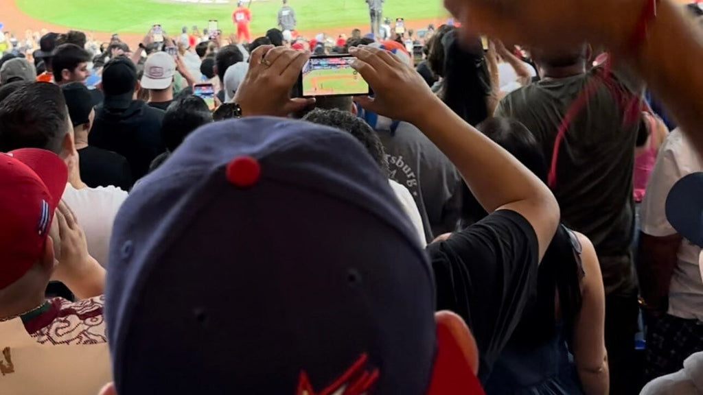Bear on the Road: World Baseball Classic (Part Two)