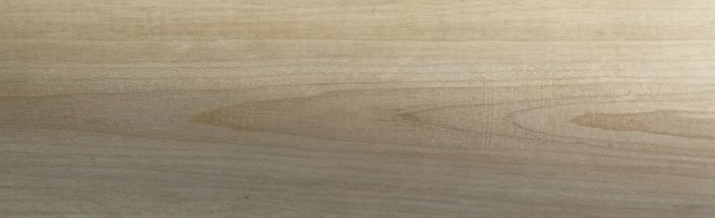 Closeup image of a BRUCE BOLT bat