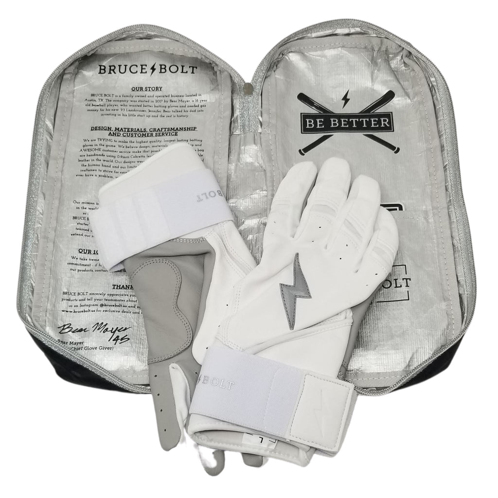 PREMIUM PRO CHROME SERIES Glove Bag- quickbuy